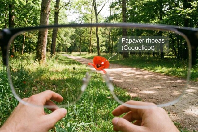 Lunettes IA et reconnaissance d&rsquo;objets | Comment ça marche ?